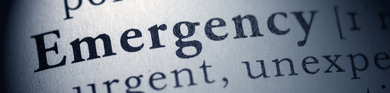 Emergency Savings Worksheet header image