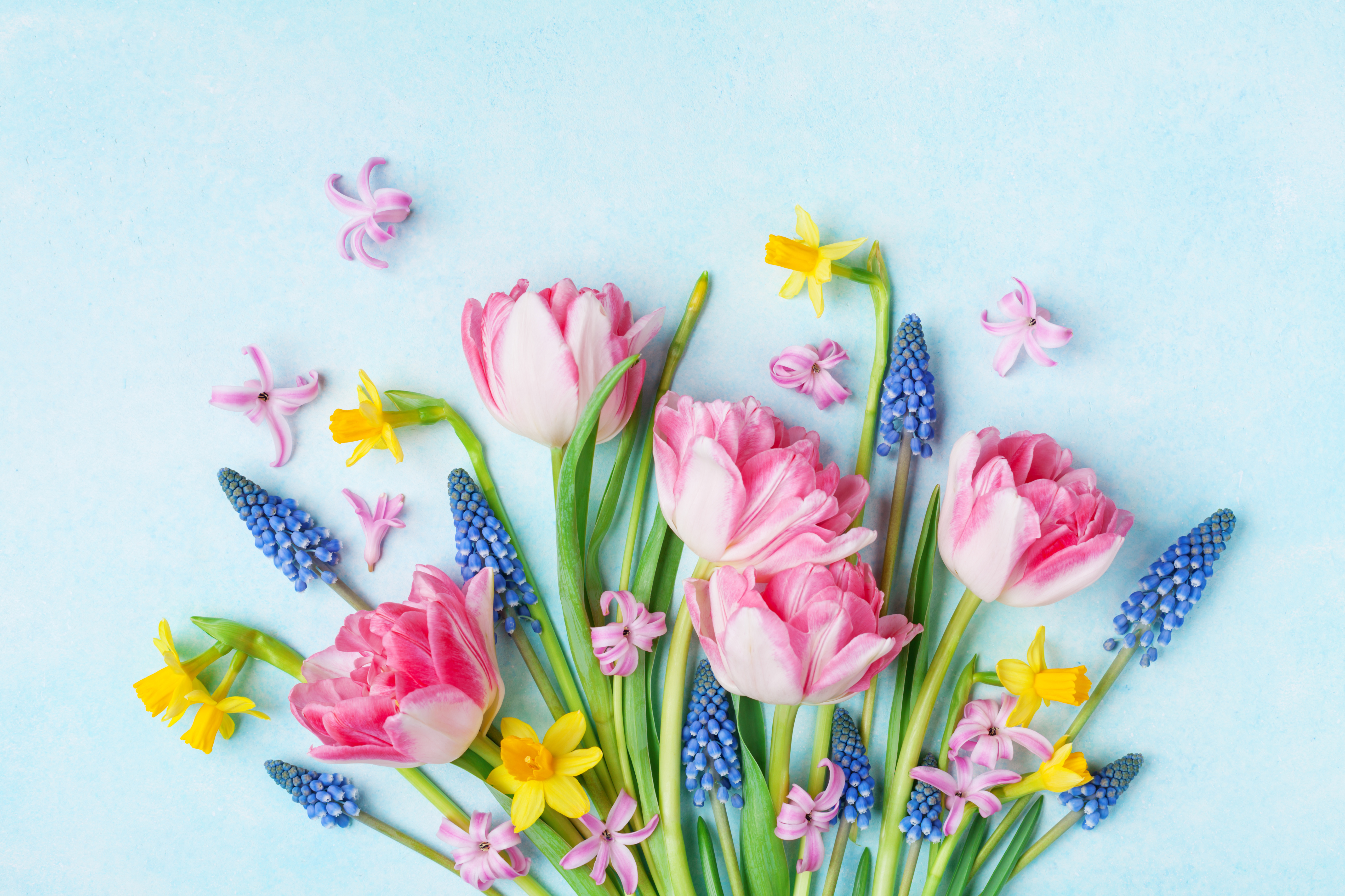 MONEY HACKS: Are Your Finances ‘Blooming’ this Spring?